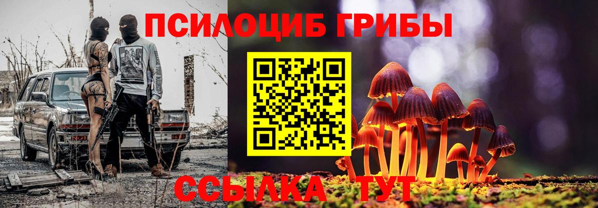 Галлюциногенные грибы MAGIC MUSHROOMS  хочу   Вход с VPN  Жигулёвск  Псилоцибиновые грибы MAGIC MUSHROOMS 