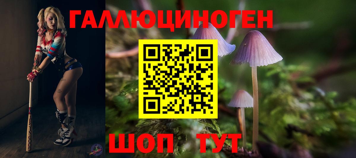 Галлюциногенные грибы Psilocybine cubensis Жигулёвск
